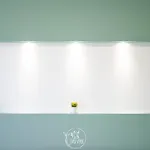 L' Oasi